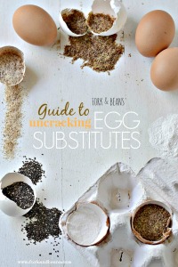 Guide to Egg Substitutions