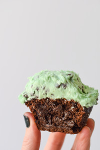 An ooey gooey gluten free chocolate brownie topped with a (nondairy) buttery mint chip frosting, these Mint Chip Brownies are free of the top 8 allergies!