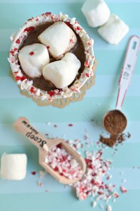 Nondairy Peppermint Hot Chocolate with vegan marshmallows